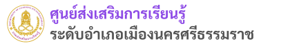 mueang nst dole logo